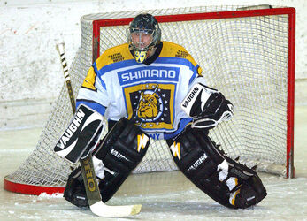 Hockey Italia Varese Brunico