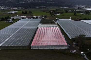 SANT ANTONINO presentazione Orticola Bassi per la produzione di pomodori svizzeri in inverno con tecnologie all avanguardia