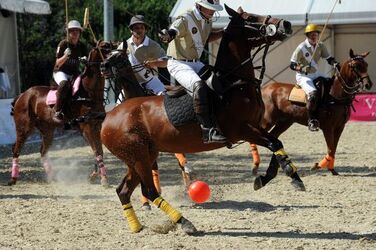 15.07 .2011 Polo 2a edizione Polo Cup Ascona