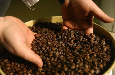 Rivera torrefazione caff&egrave;