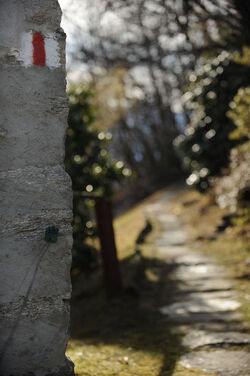 Costa sopra Intragna sentiero di montagna